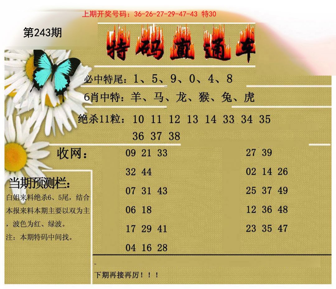 2024243期特码直通车