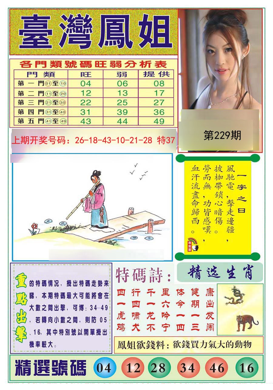 2024229期台湾凤姐