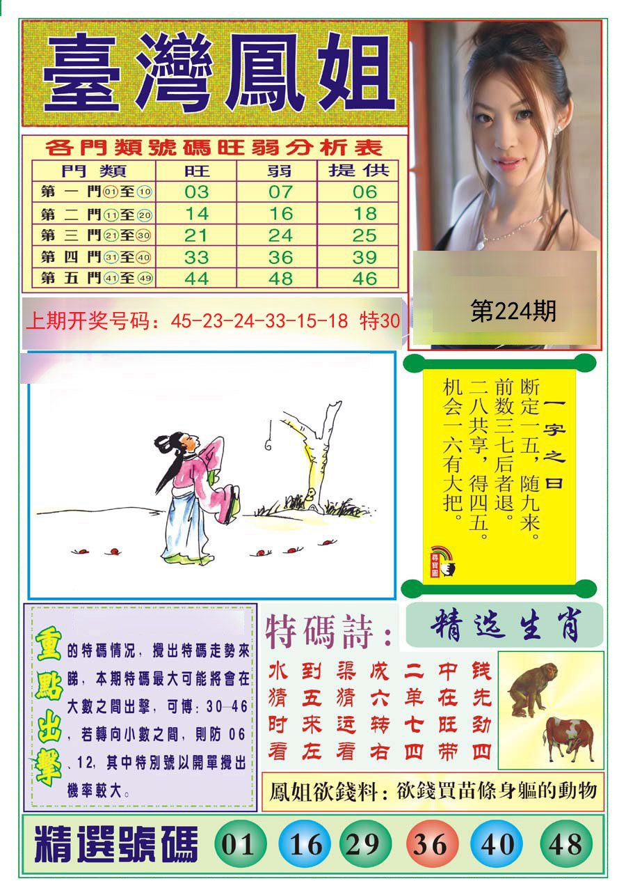 2024224期台湾凤姐