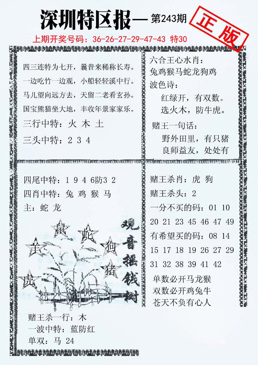 2024243期深圳特区报A