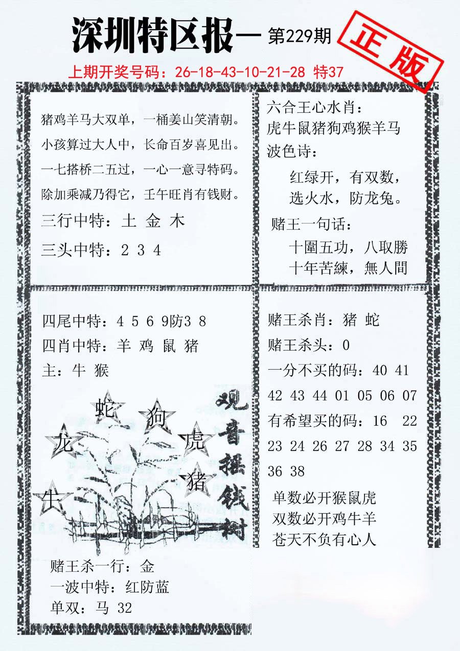 2024229期深圳特区报A