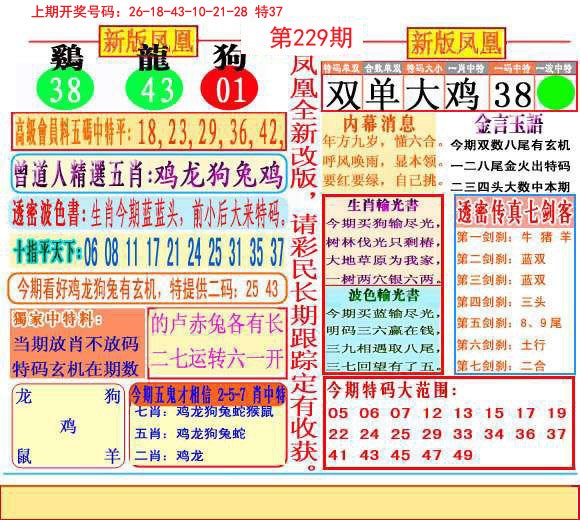 2024229期二代凤凰报