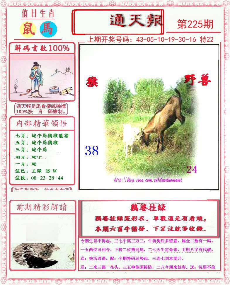 2024225期小喜通天报