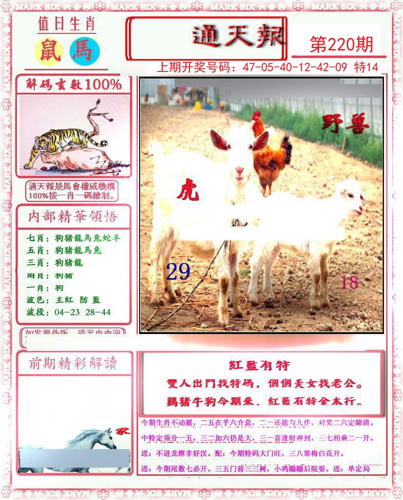 2024220期小喜通天报