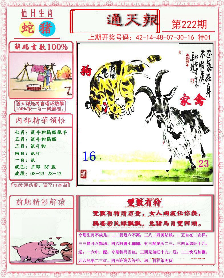 2024222期小喜通天报