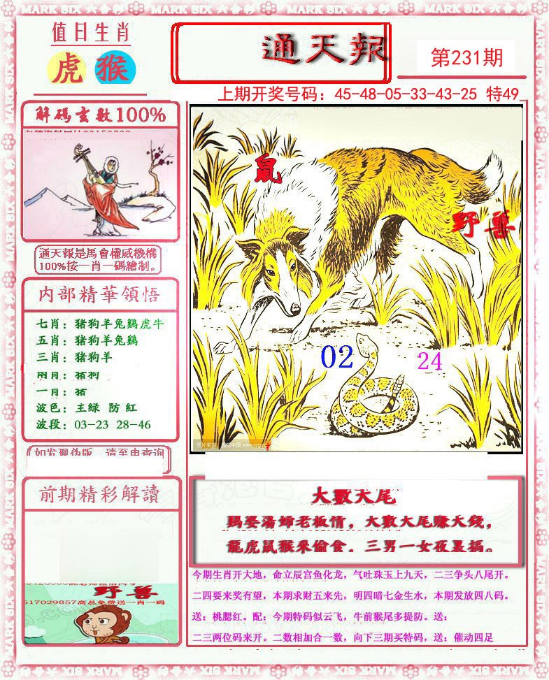 2024231期小喜通天报