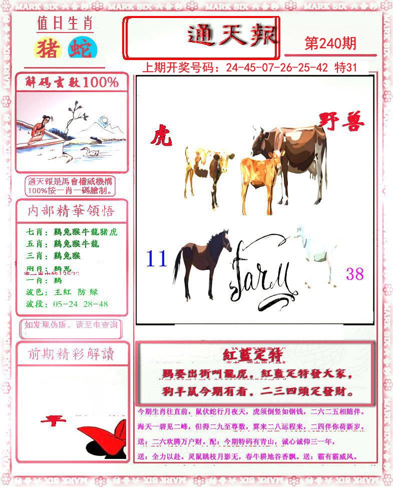 2024240期小喜通天报