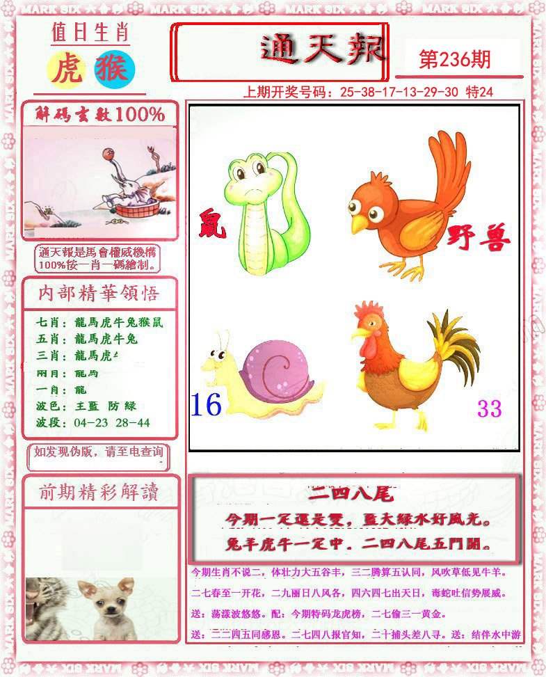 2024236期小喜通天报