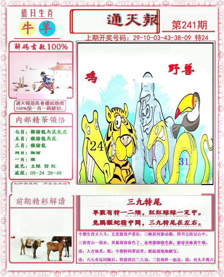 2024241期小喜通天报