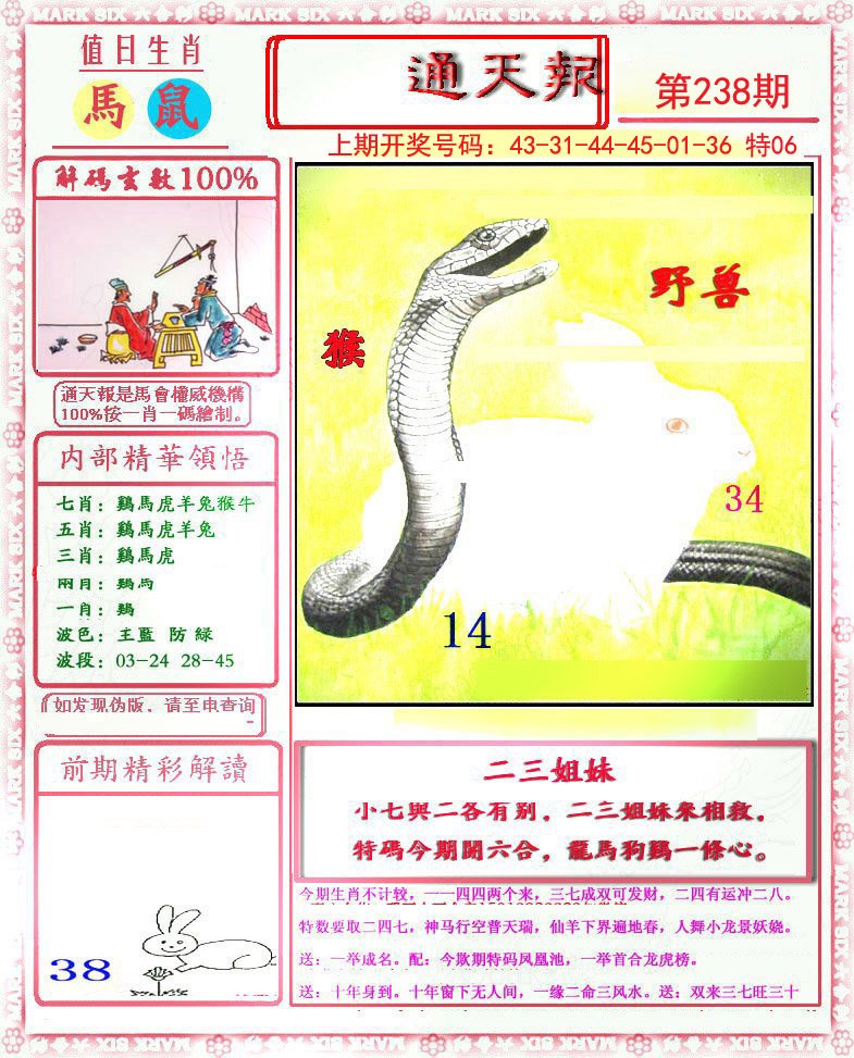 2024238期小喜通天报