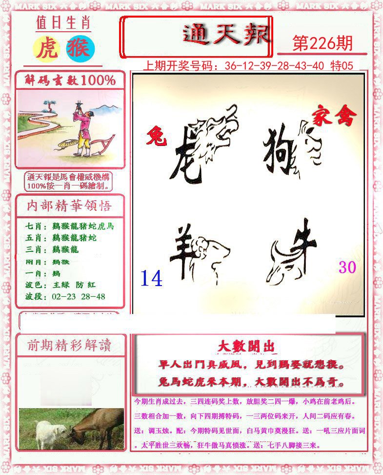 2024226期小喜通天报