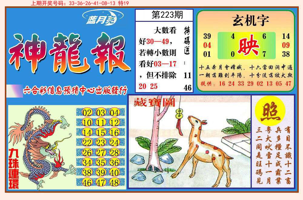 2024223期神龙报