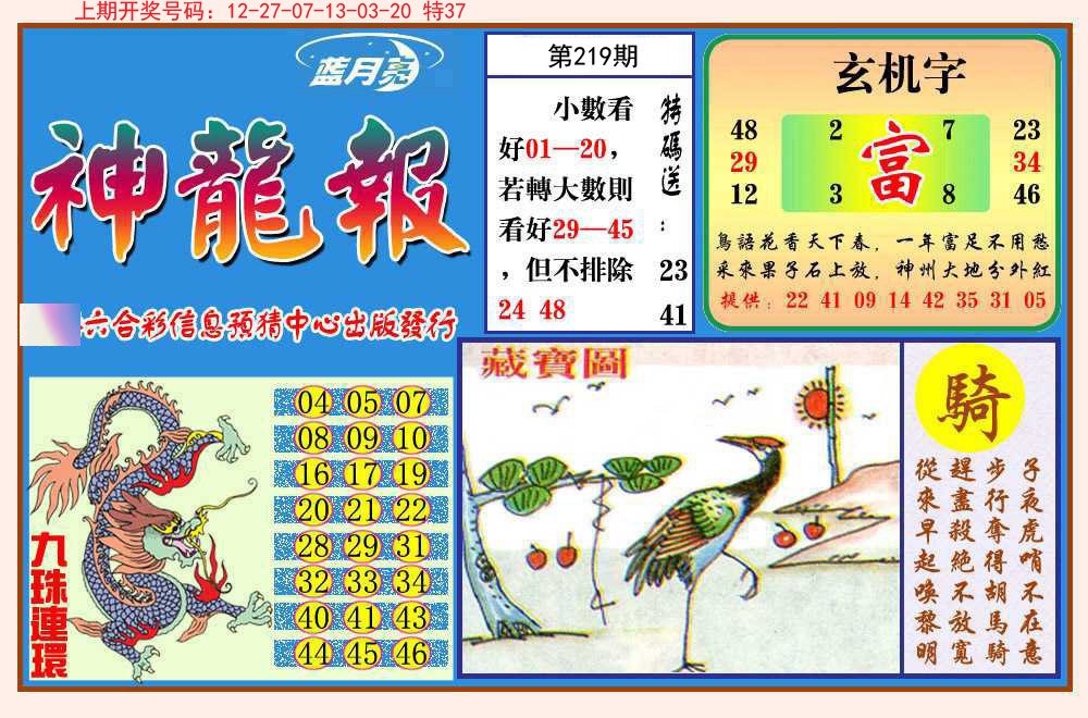 2024219期神龙报
