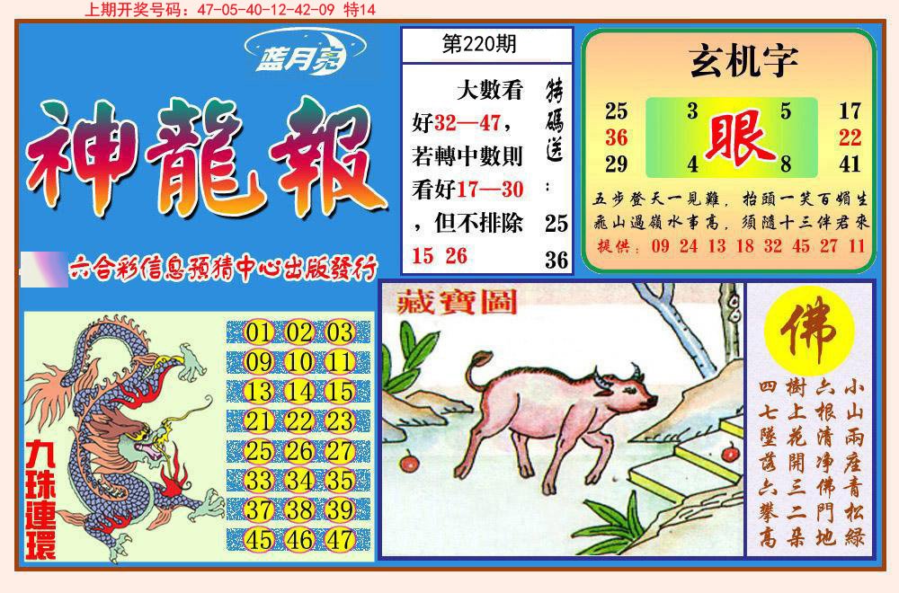 2024220期神龙报