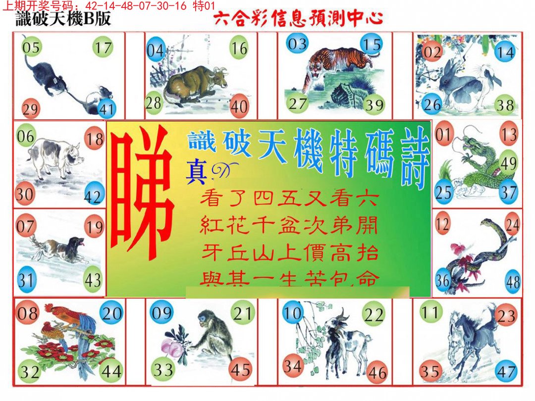2024222期识破天机B版