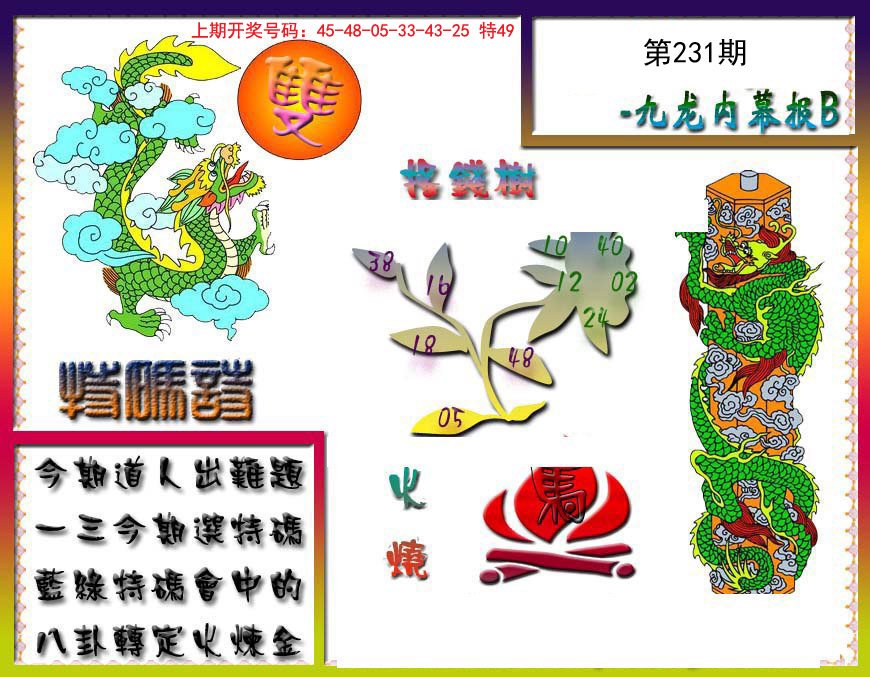 2024231期九龙内幕特肖图a