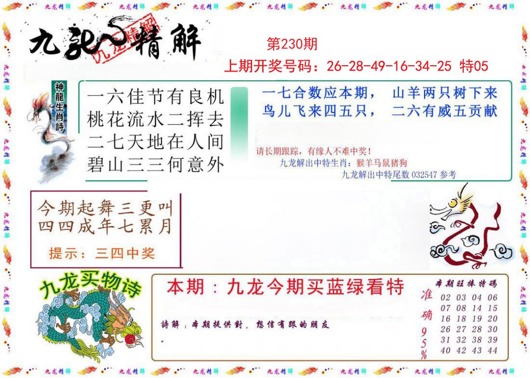 2024230期九龙精解