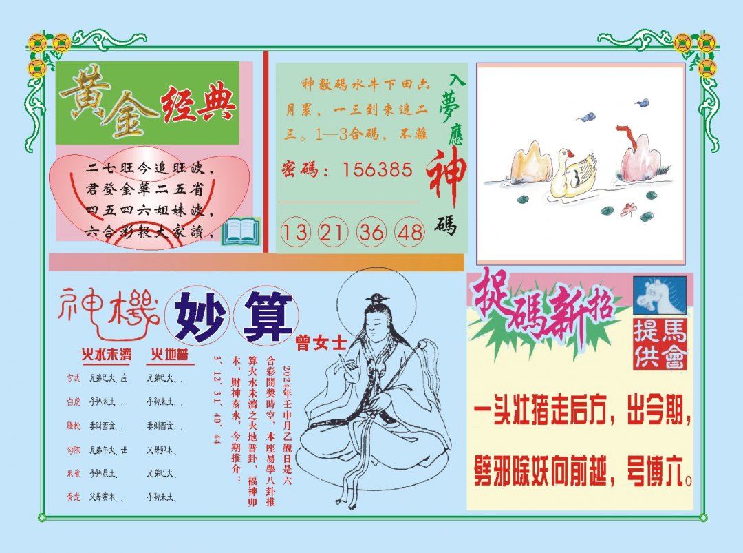 2024242期老版曾女士B