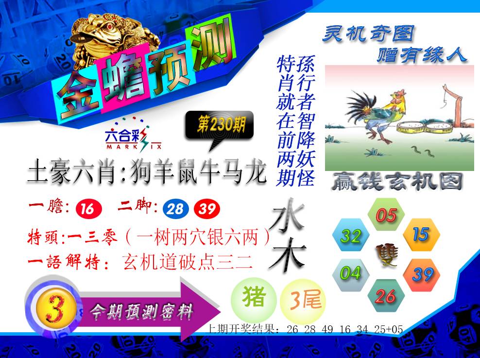 2024230期金蟾预测
