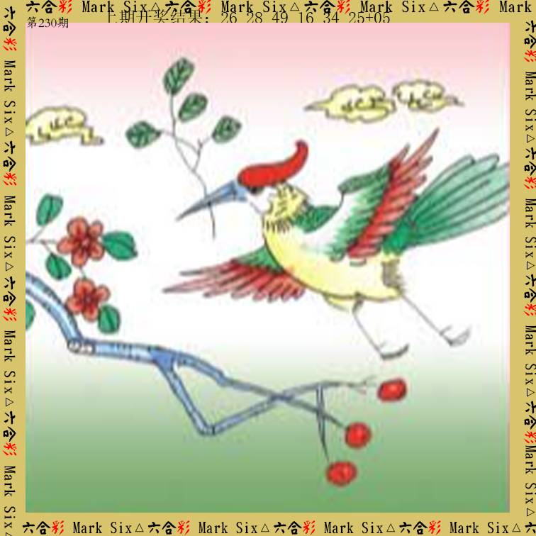 2024230期藏宝图