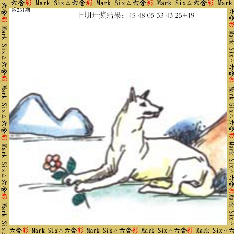 2024231期藏宝图