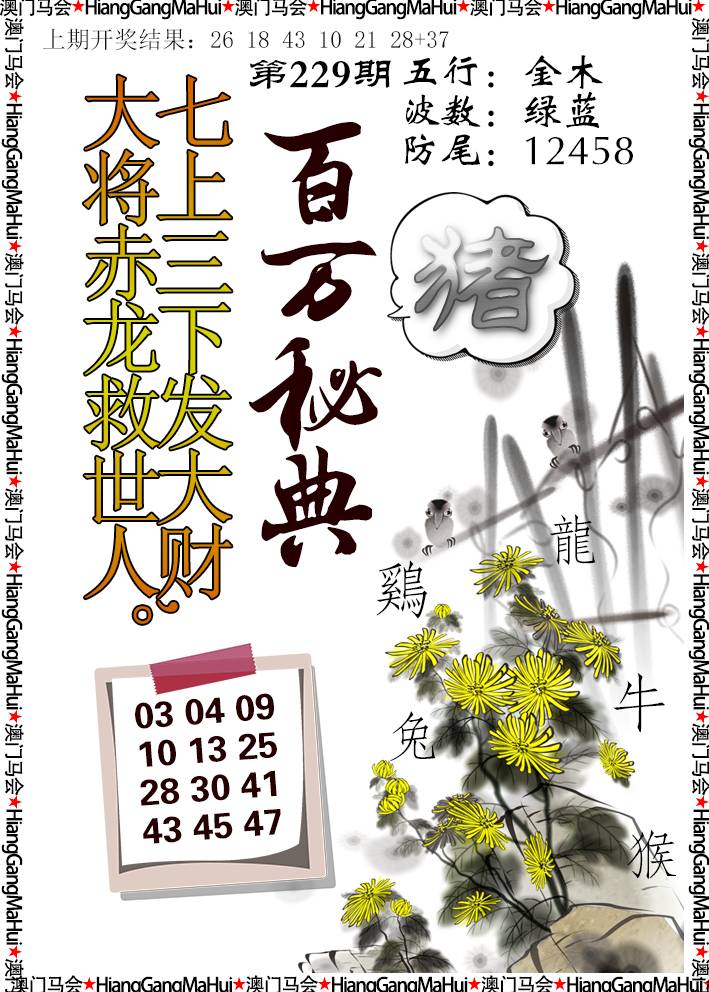2024229期百万秘典