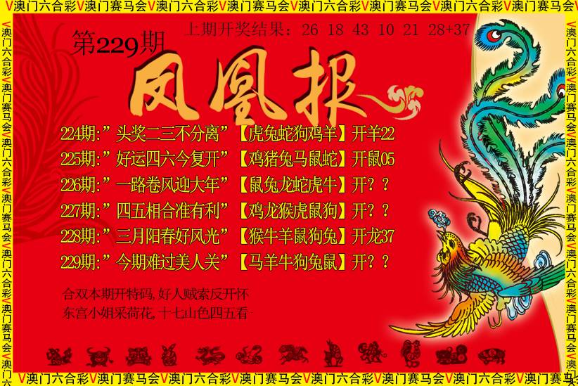 2024229期凤凰报