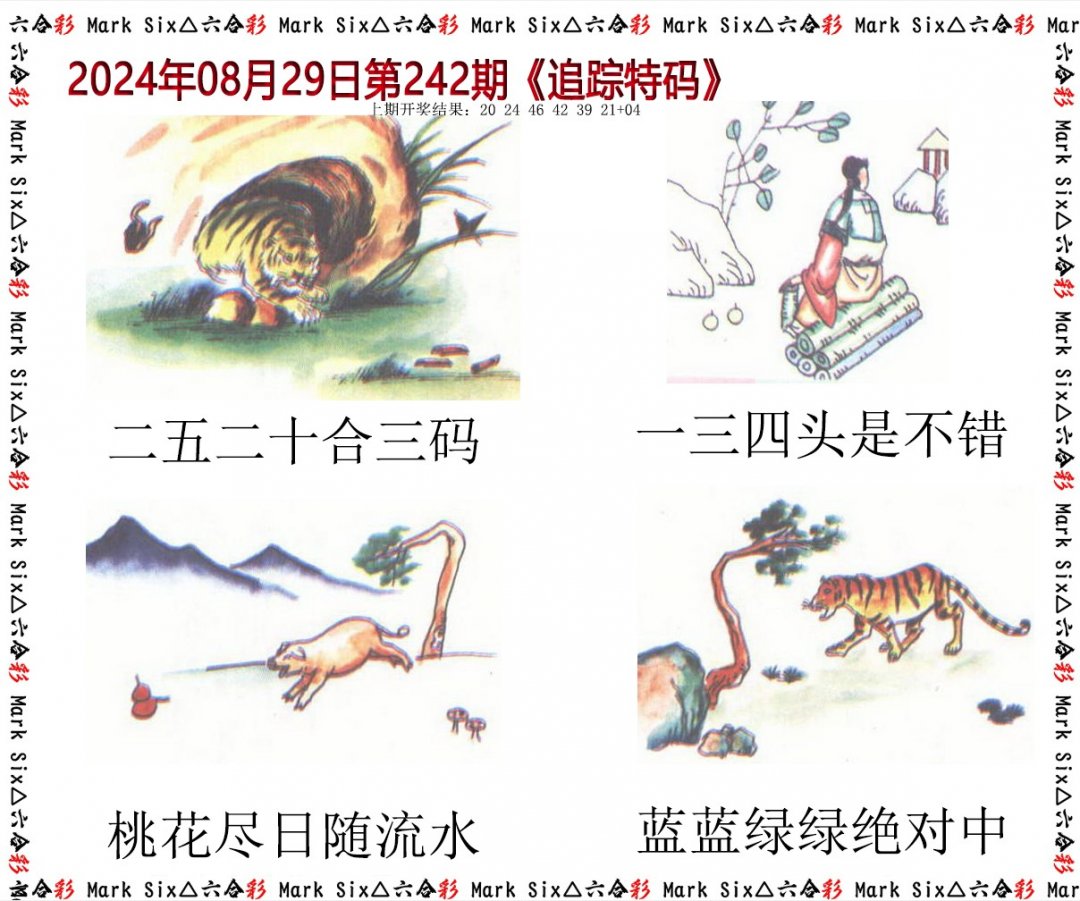 2024242期追踪特码
