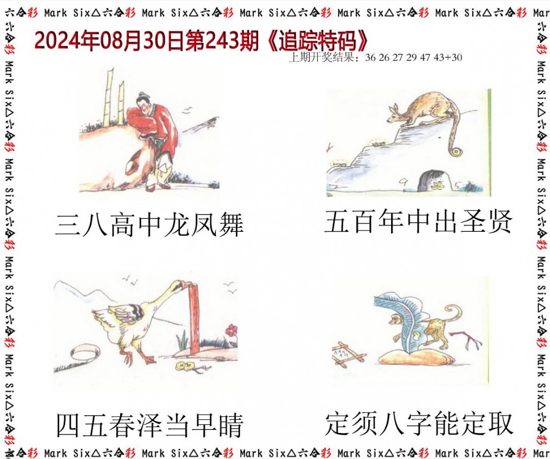2024243期追踪特码