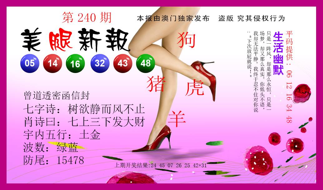 2024240期美腿新报