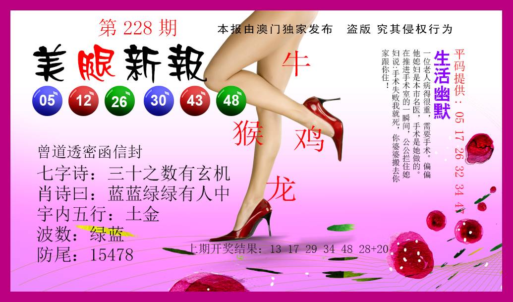 2024228期美腿新报