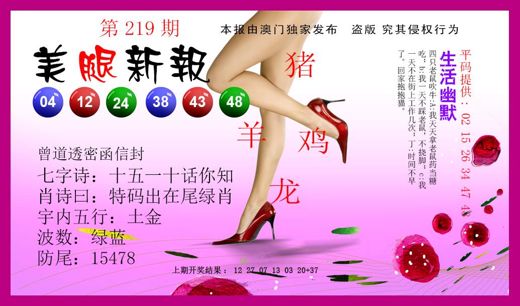 2024219期美腿新报
