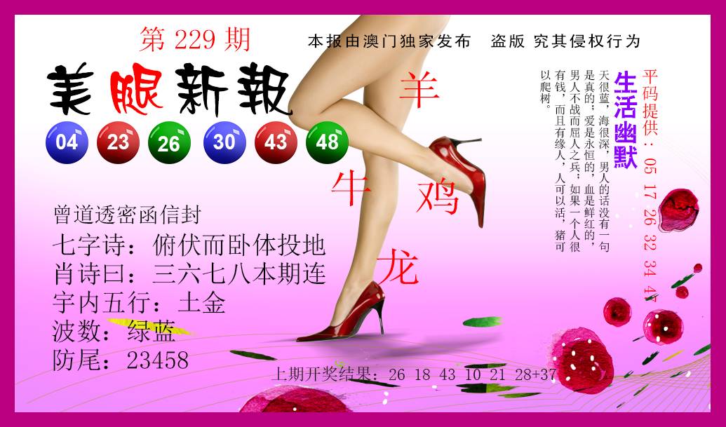 2024229期美腿新报