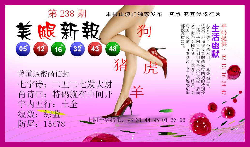 2024238期美腿新报