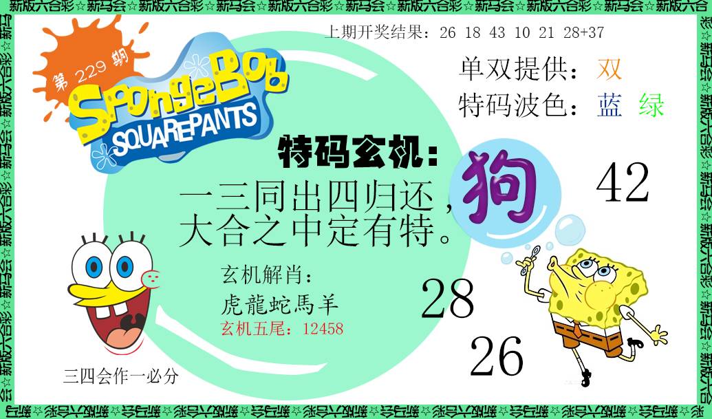 2024229期新特码玄机