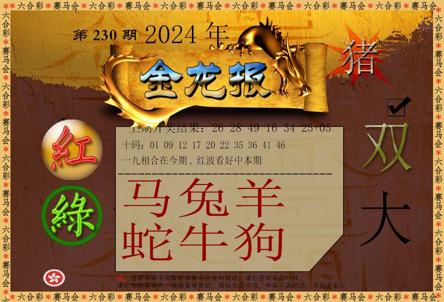2024230期金龙报