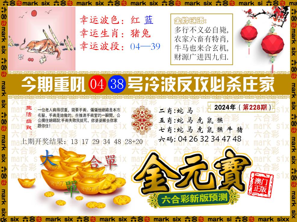 2024228期金元宝