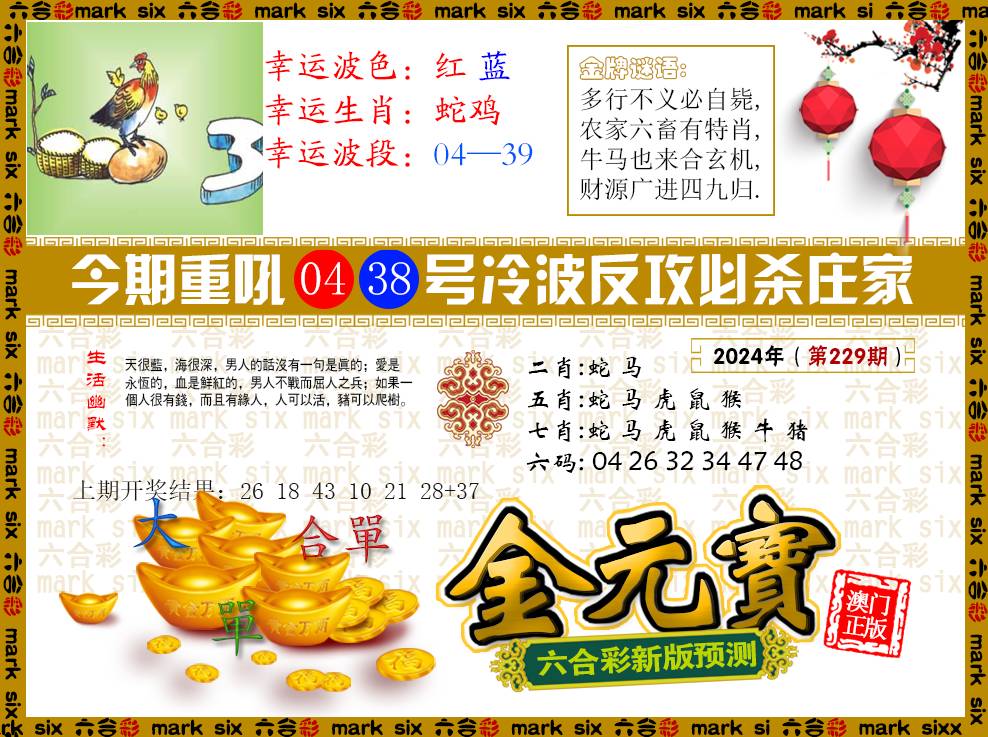 2024229期金元宝