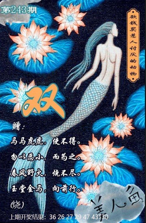 2024243期美人鱼单双中特图