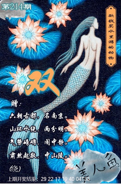 2024214期美人鱼单双中特图