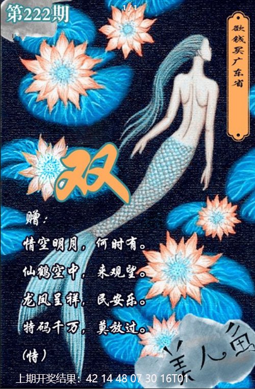 2024222期美人鱼单双中特图