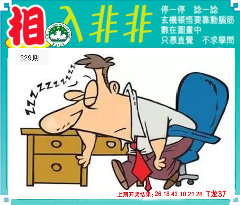 2024229期相入非非