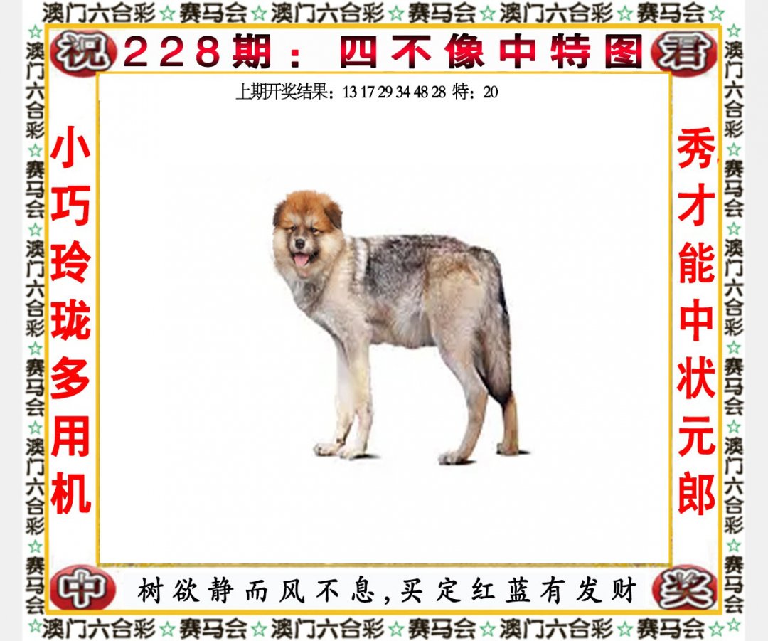 2024228期四不像中特图