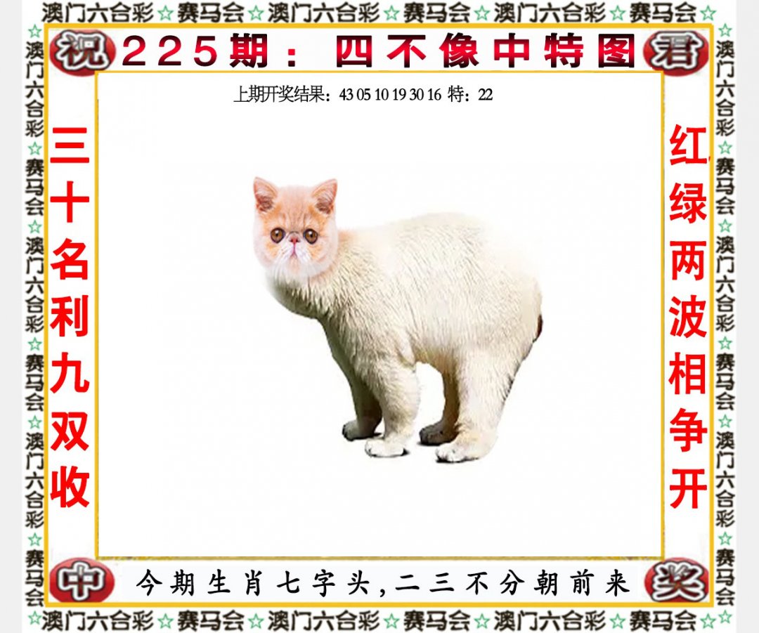 2024225期四不像中特图