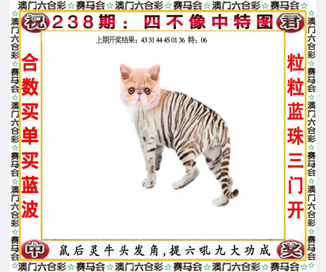2024238期四不像中特图