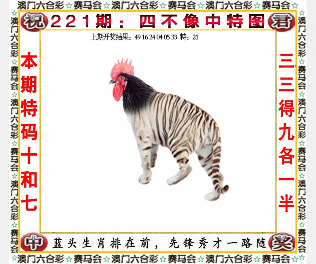 2024221期四不像中特图