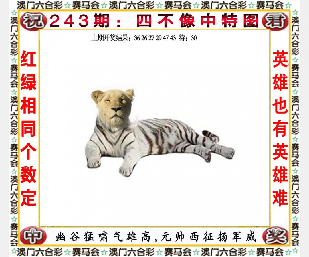 2024243期四不像中特图