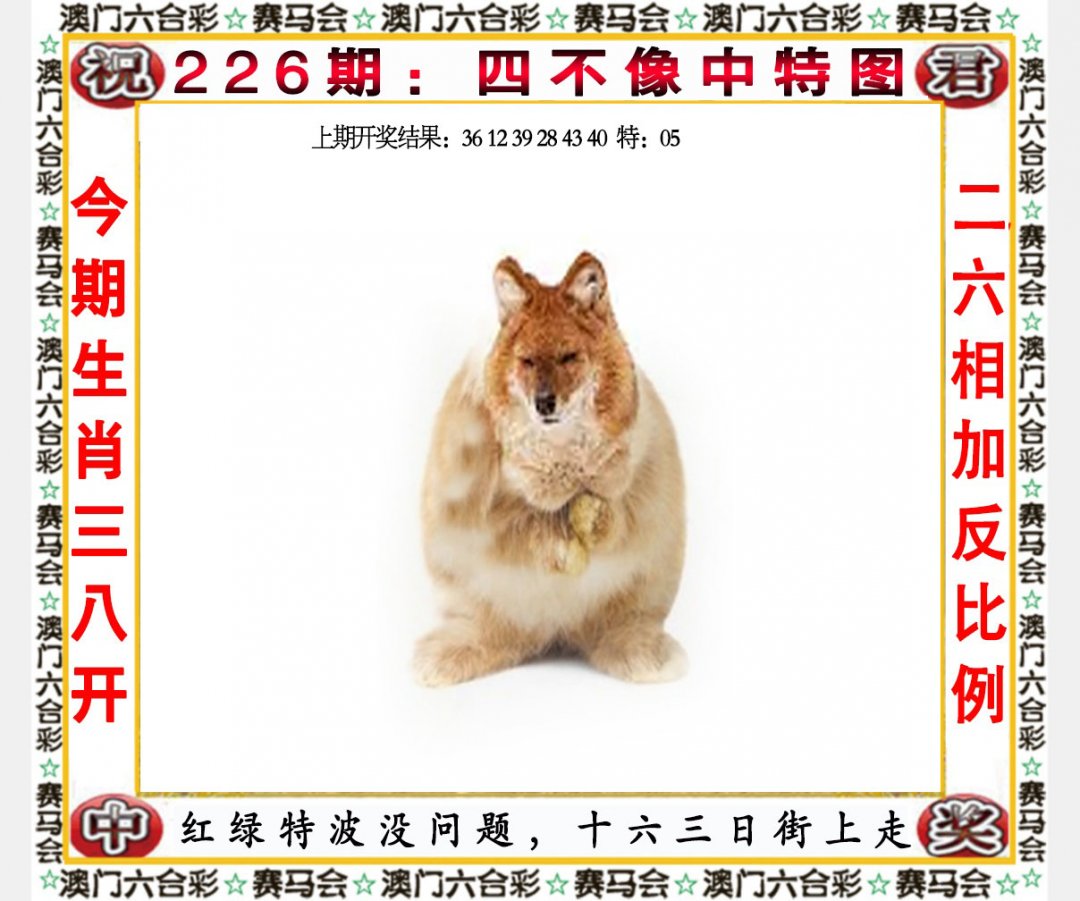 2024226期四不像中特图