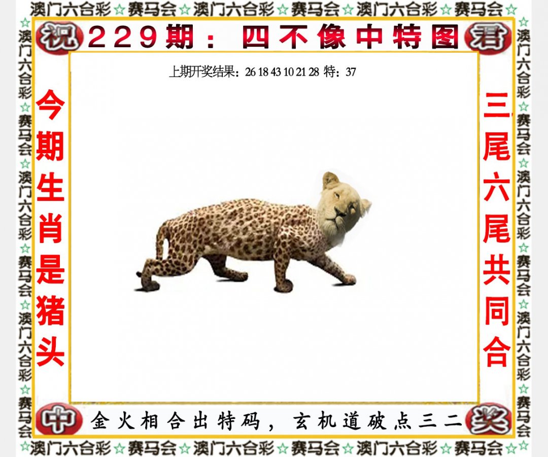 2024229期四不像中特图