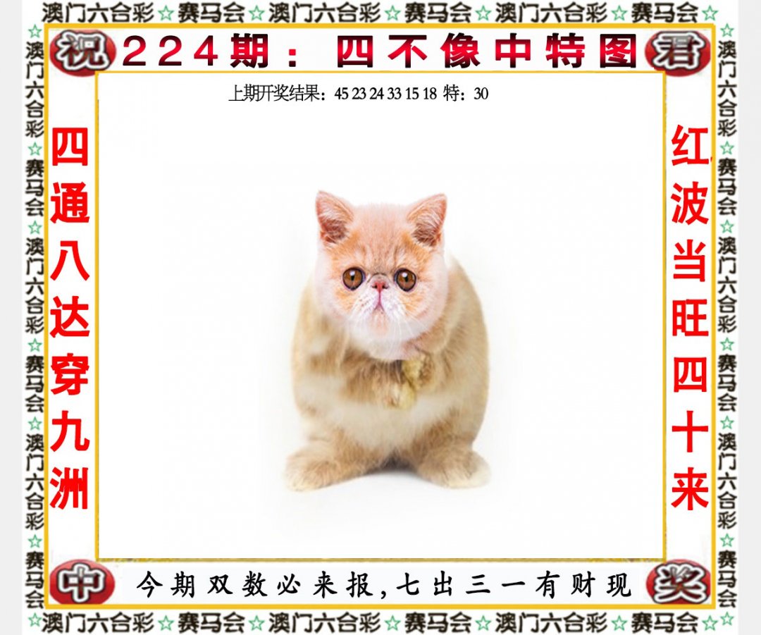 2024224期四不像中特图